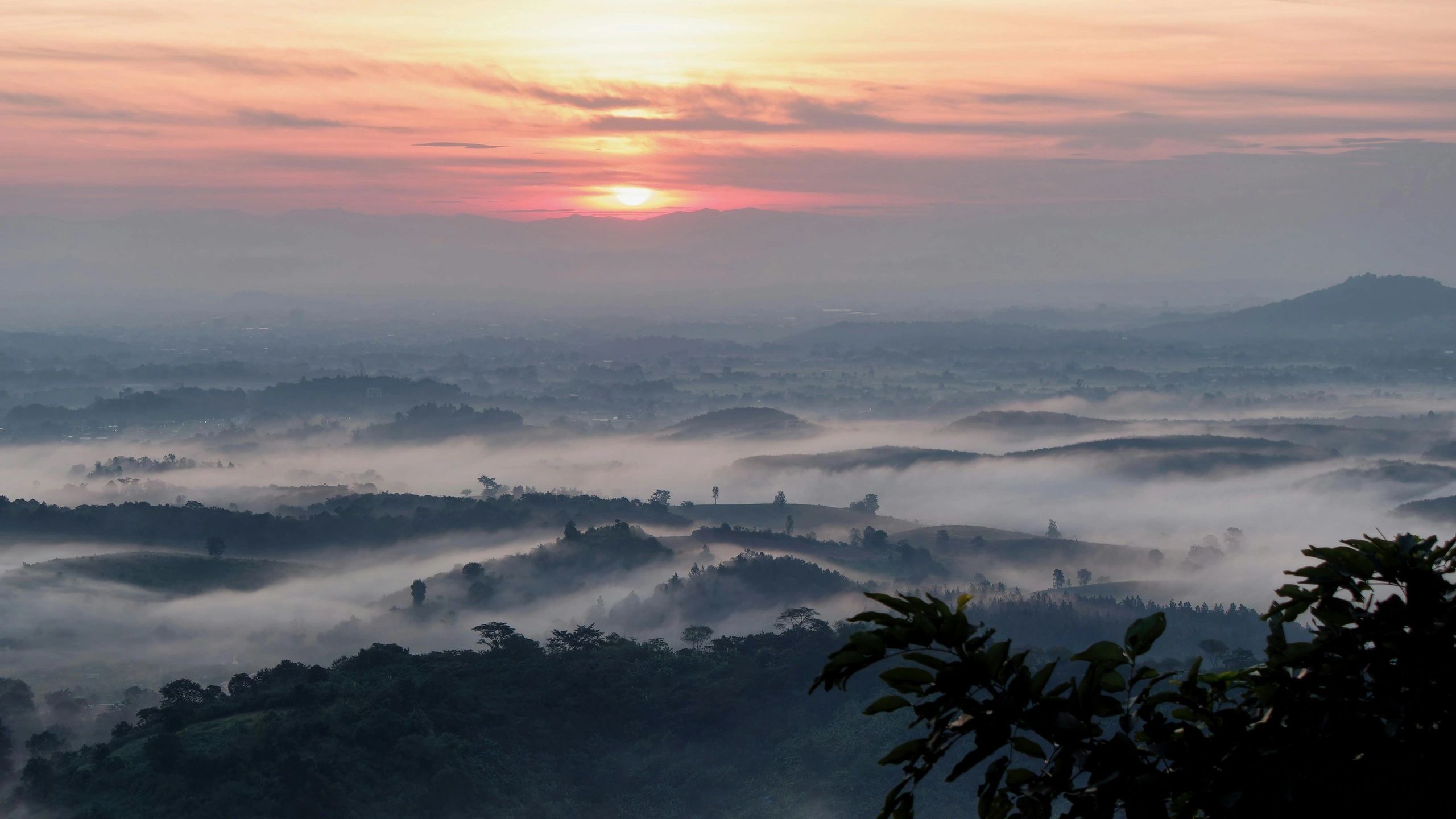 In the Shadow of Doi Luang